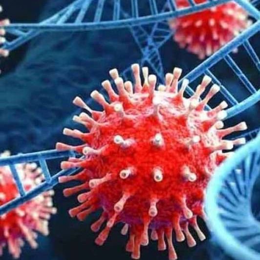 इंदौर में कोरोना से एक और मौत, 12 नए केस ,कुल 81 संक्रमित, 51 एक्टिव