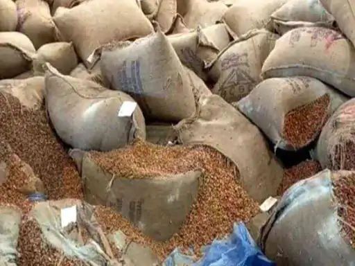 बिना बीमा के गोदामों में पड़ा 10 हजार करोड़ का अनाज, सिस्टम की बड़ी लापरवाही