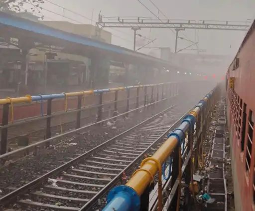 रतलाम में तूफान और बारिश से तबाही: पेड़ गिरने और बिजली से 4 की मौत